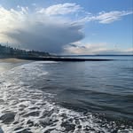 Catherine Krawczyk - @caledoniankate - Instagram