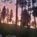 Katherine Krebs - Facebook