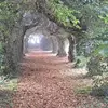 Catherine Kroll - @catherine.kroll2 - TikTok