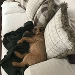 Catherine A. Kroll - @catherinekroll - Instagram
