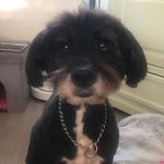 Catherine Pawlicki Kulas - @katia6256 - Instagram