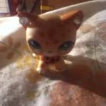 Catherinekumar - @lps_cat45 - Instagram
