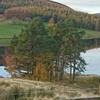 catherinelaird546 - @catherinelaird546 - TikTok