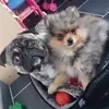 Catherine Leblanc - @catherine.leblanc5 - TikTok
