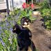 Catherine Legg - Facebook