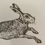 Catherine Louise Legg - @kittylegg - Instagram