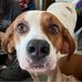 Catherine Leong - Facebook