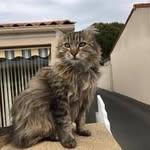 Catherine Lerer - @lerer.catherine - Instagram