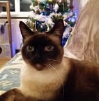 Catherine Leroux - Facebook
