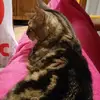 Catherine Leroux - @catoline.leroux - TikTok