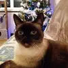 Catherine Leroux - @catherine.leroux6 - TikTok