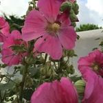 Catherine Levy - @catherine.levy77 - Instagram