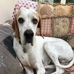 Catherine Lodge - @catherine.lodge456 - Instagram