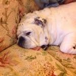 Catherine Mackey - @drbob59 - Instagram