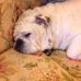 Catherine Mackey - Facebook