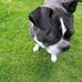 Catherine MacKinnon - Facebook