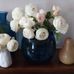 Catherine Mancini - Facebook