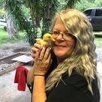 Catherine Marks - @dixiecat65 - Instagram