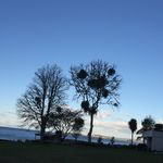 Catherine Marks - @catherine_marks - Instagram