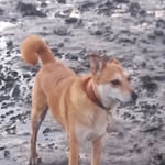 Catherine Marshall - @catherine.marshall.585 - Instagram