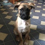 Catherine Massa - @cmassa2936 - Instagram