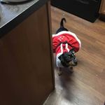 Catherine Masterson - @gypseykitten - Instagram