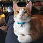 Catherine Mathis - @mathiscatherine - Instagram