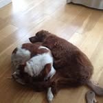 Catherine Mcaleer - @catherine_mcaleer - Instagram