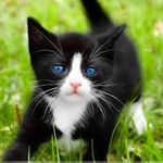 Cat - @catherine__mcallister - Instagram