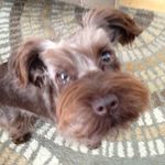 Catherine McAllister - @catherine.mcallister.589 - Instagram