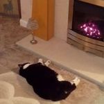 Catherine Mcallister - @mcallister283 - Instagram