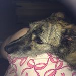 Catherine McAllister - @mcallistercatherine - Instagram