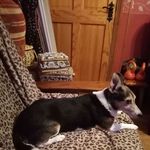 Josie McAllister - @catherine.mcallister.923 - Instagram