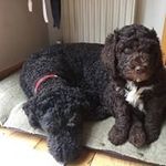 Catherine McCabe - @mccabe6337 - Instagram