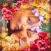 Catherine Mccabe - Facebook