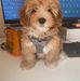 Catherine Mccole - Facebook