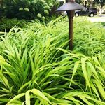 Catherine McCulloch - @catherinemccullochlandscapes - Instagram