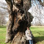 Catherine Mc Donough - @catherine.mcdonough.75 - Instagram