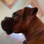 Catherine Saali McDonough - @csaali - Instagram