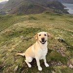 Catherine McFadden - @mcfadden1742 - Instagram