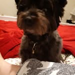 Catherine McKay - @catherinemckay40 - Instagram