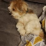 Catherine Mcleod - @alfie02041965 - Instagram