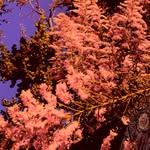 Catherine McLeod - @son_ofleod_173 - Instagram