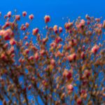 Catherine McQueen - @mcqueenimages - Instagram