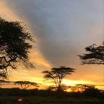 Catherine McQueen - @mcmtravelafrica - Instagram