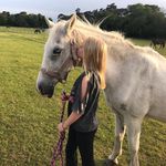 Luciana Catherine Melvin - @whizzie.equine - Instagram