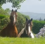 Catherine Milner - Facebook
