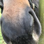 Catherine Milner - @catherinemilner1 - Instagram