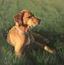 Catherine Minga Fine Art - Facebook