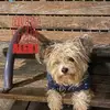 Catherine Miranda - @catherine.miranda792 - TikTok